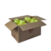 Wilson Triniti Tennis Ball - Box Of 72 2 Wilson Triniti Tennis Ball - Box Of 72 -Tennis Equipment Store WR8201501 f312aa667f09e618a2e2d8ed94107eaf