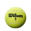 Wilson 9” Roland Garros Jumbo Ball -Tennis Equipment Store WilsonJumbo9